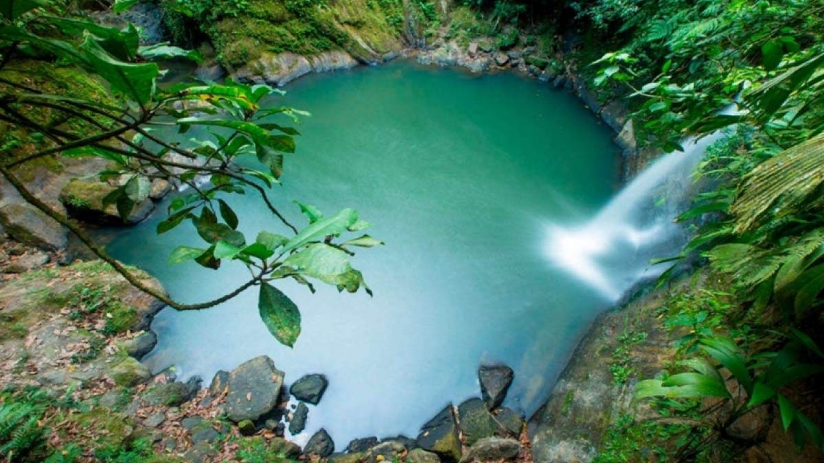 tarapoto sonado i2mwob
