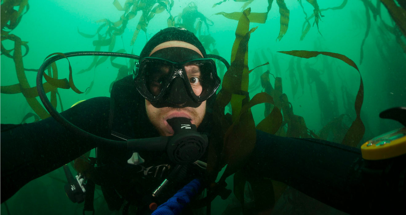 discover scuba diving tu primera experiencia de buceo loldfl