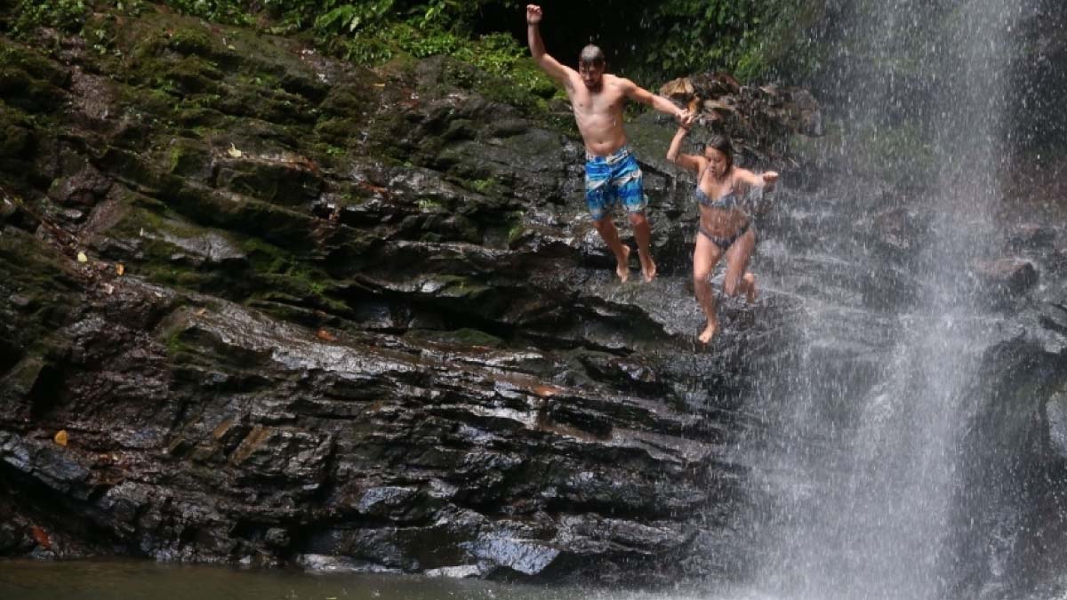 tarapoto sonado qt748t