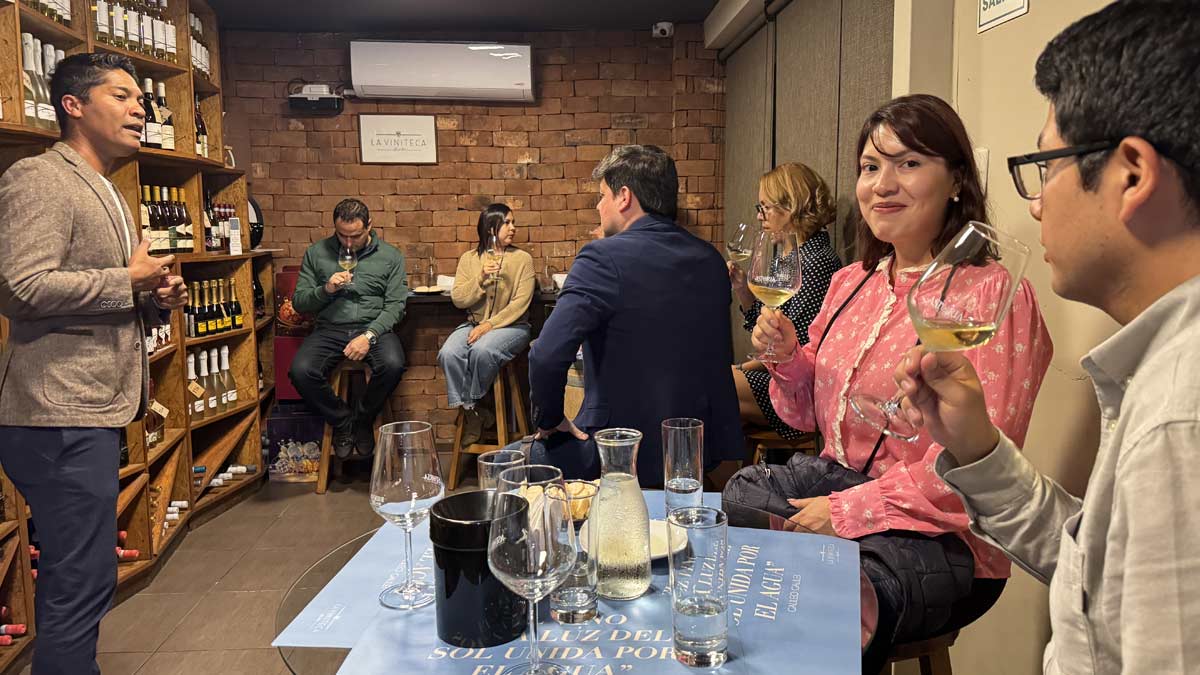 experiencia gourmet en la viniteca 56xji4