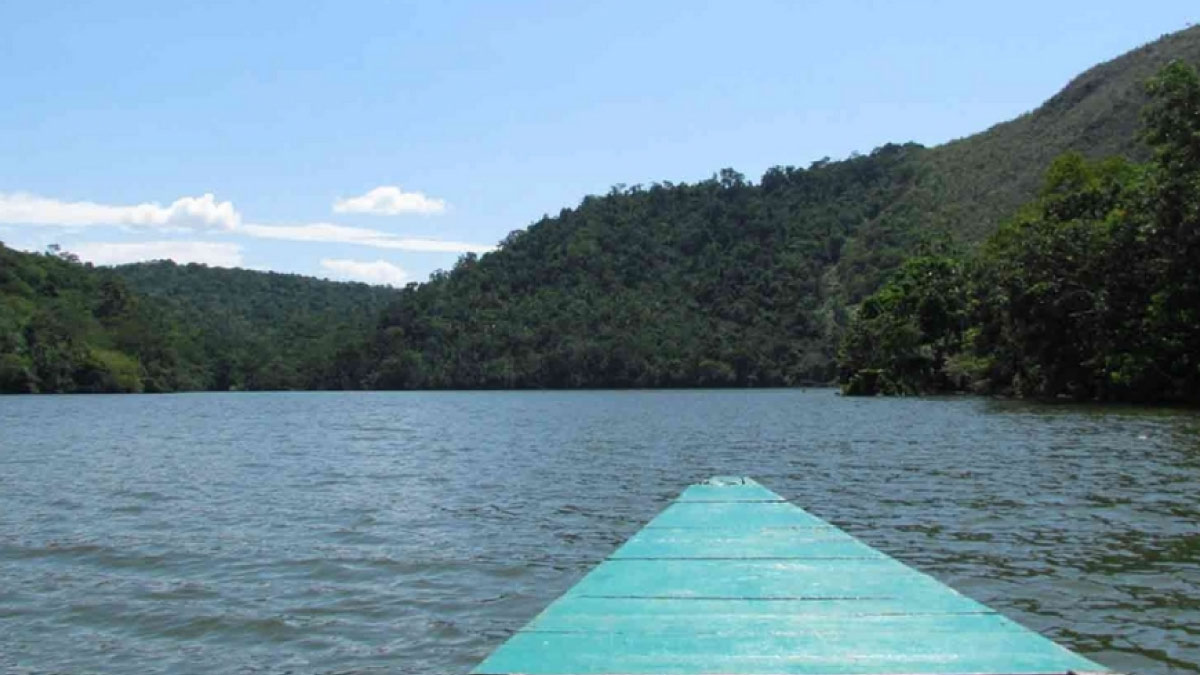 tarapoto tropical 6dg58r