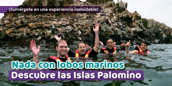 IslasPalomino_banner1