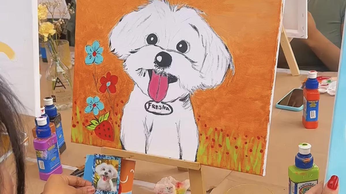 taller de arte pinta a tu mascota en lienzo 9bu620