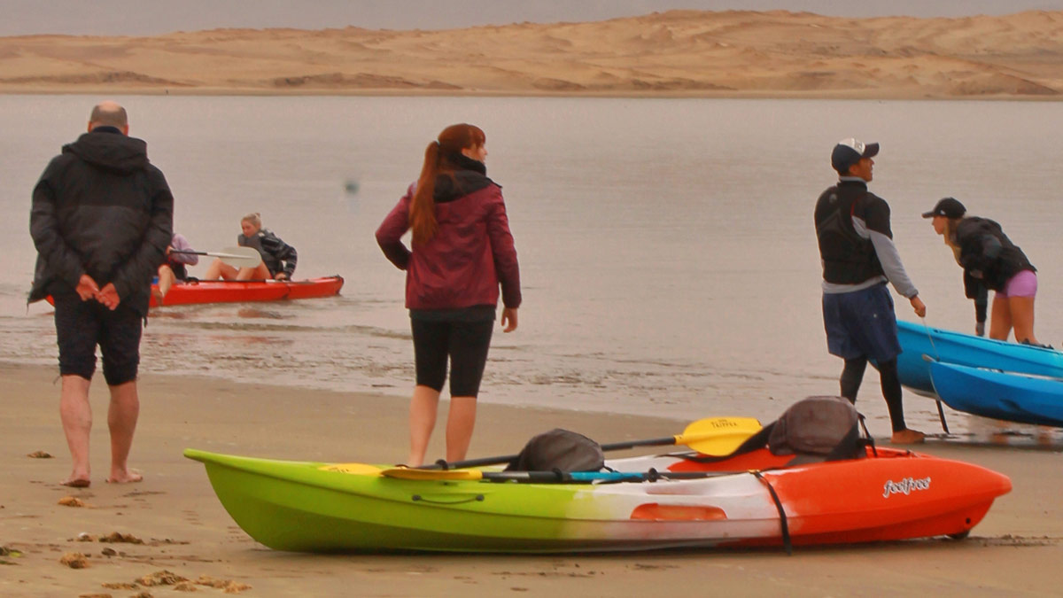 rutas eco amigables en kayaks y paddles por la reserva natural de paracas duwtu5