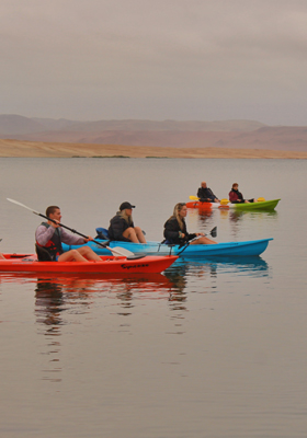 rutas eco amigables en kayaks y paddles por la reserva natural de paracas thumbnail