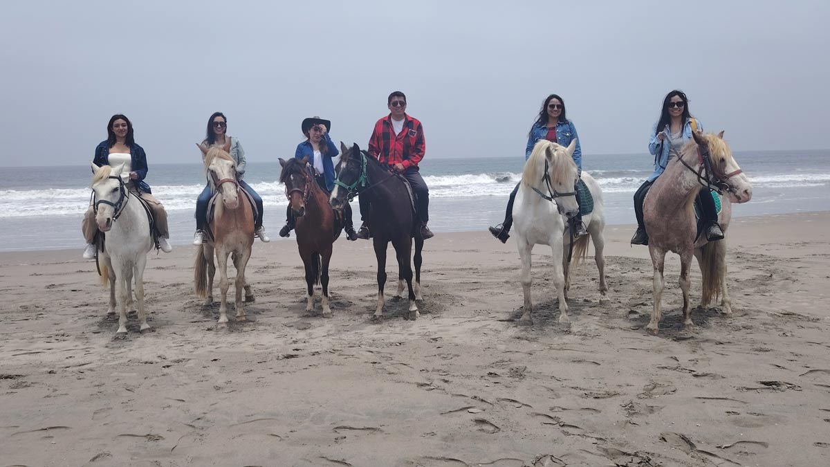 paseos a caballo en chorrillos lima ruta a la playa y diversion grs1yt