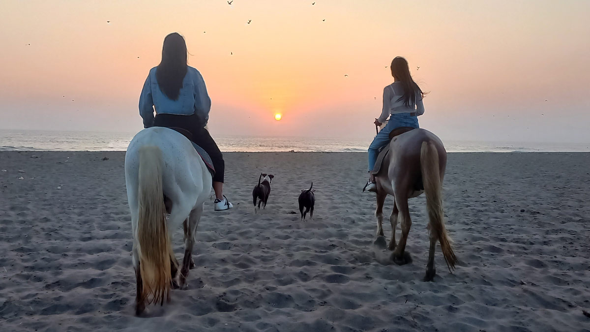 paseos a caballo en chorrillos lima ruta a la playa y diversion lpc3jp