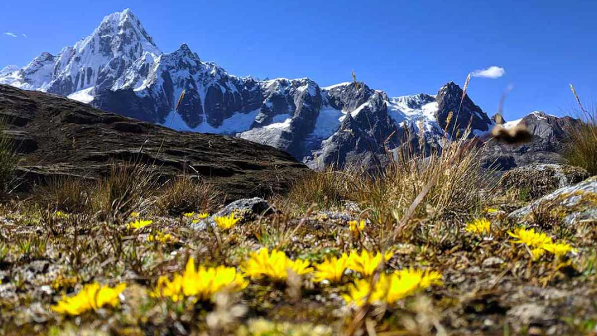 trekking santa cruz mnhhvs