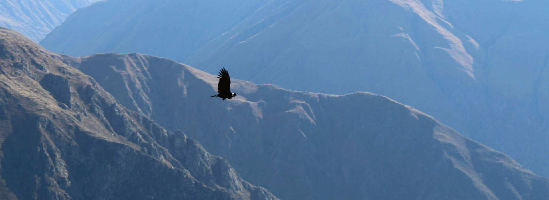 2d 1n canon del colca mirador del condor gallery 0