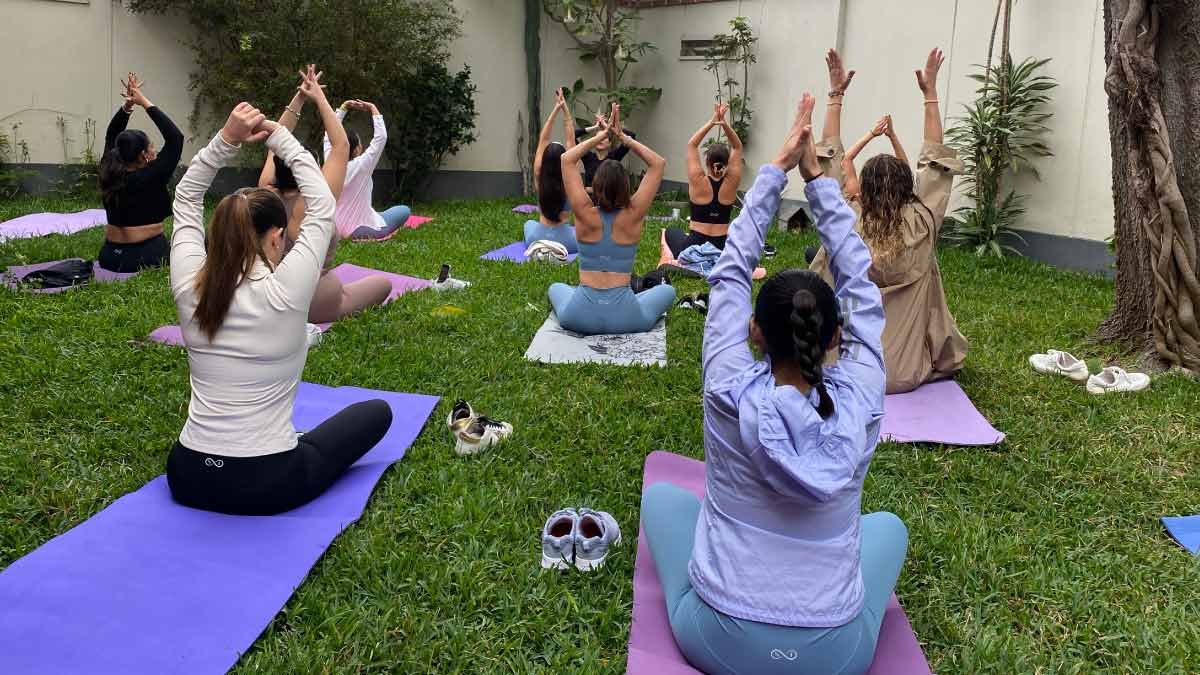 clase de yoga con perritos p34p8l