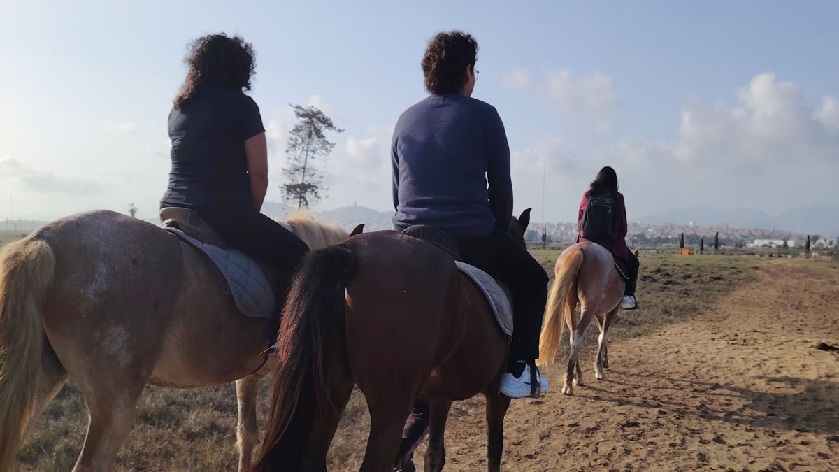 paseos a caballo en chorrillos lima ruta a la playa y diversion se45og