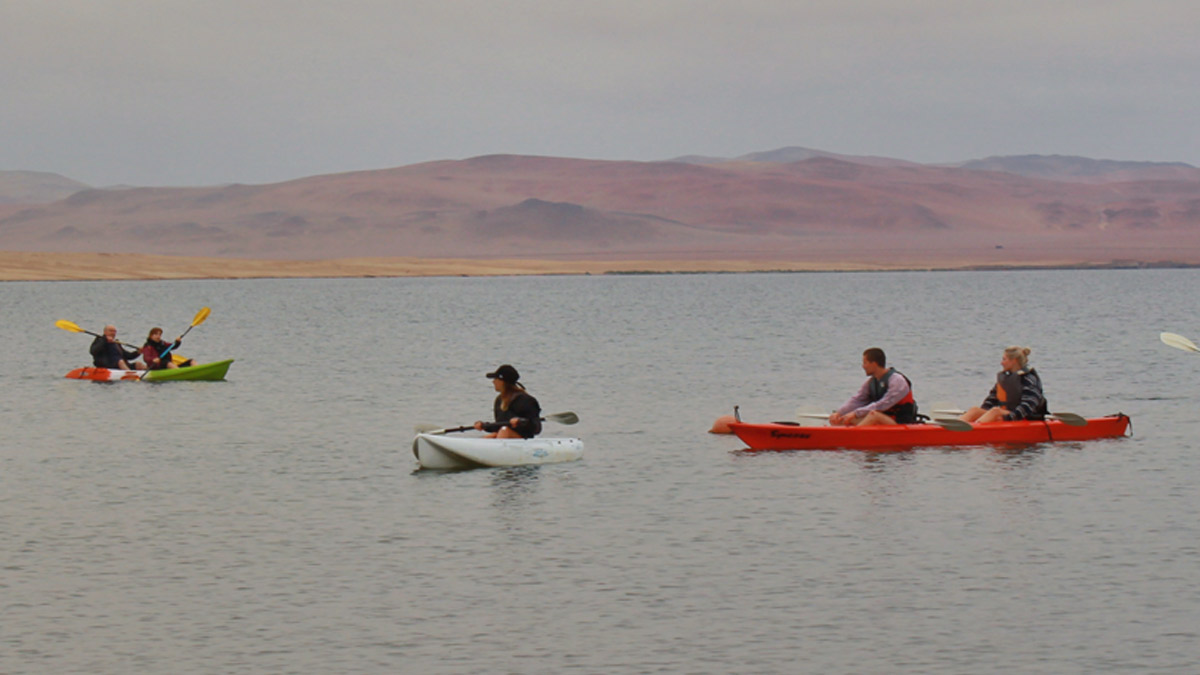 rutas eco amigables en kayaks y paddles por la reserva natural de paracas t6xqyo