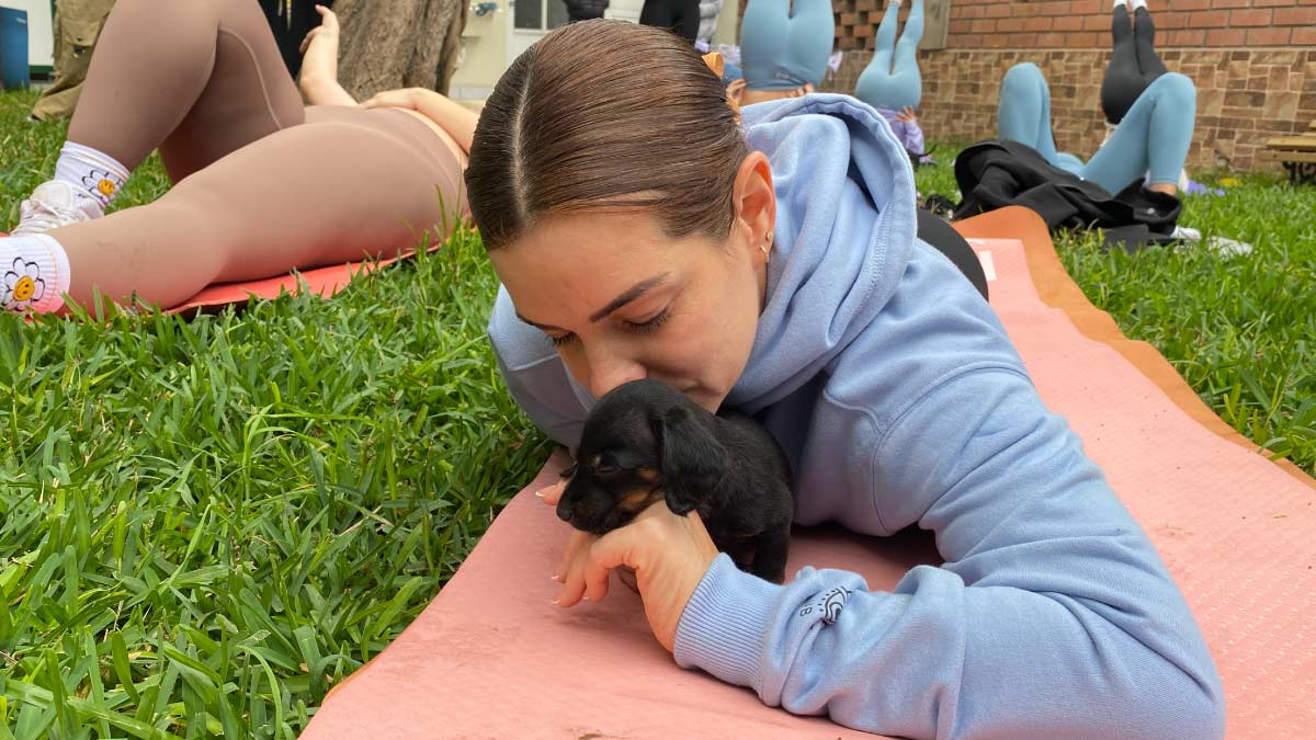 clase de yoga con perritos tsvjqg