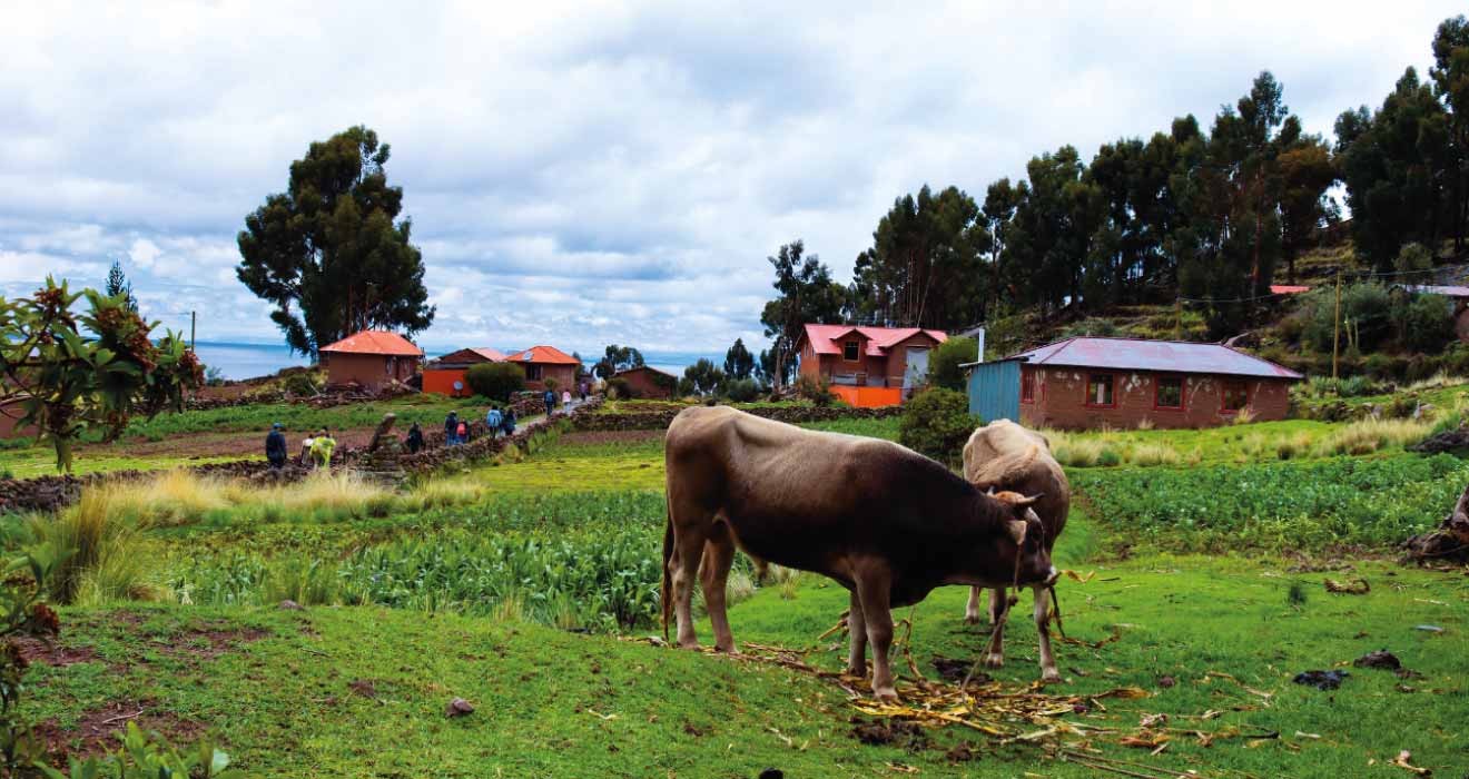 2d 1n titicaca uros home stay en taquille gallery 12