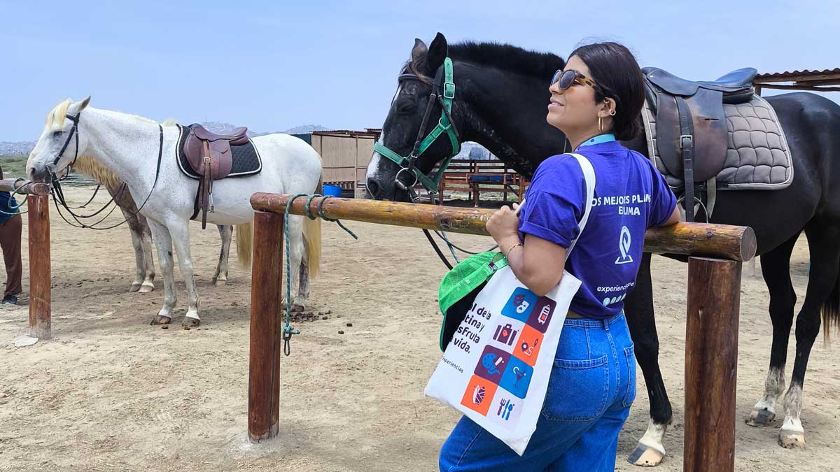 paseos a caballo en chorrillos lima ruta a la playa y diversion v4n19h