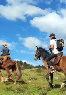 paseo a caballo en cuzco preview