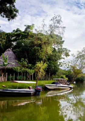 tarapoto tropical preview