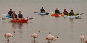 experiencias peru