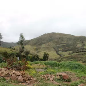rural