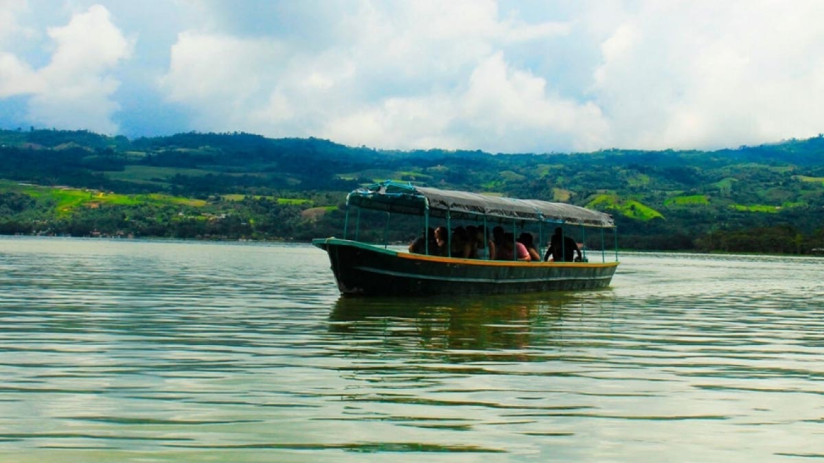 tarapoto tropical vfudw5