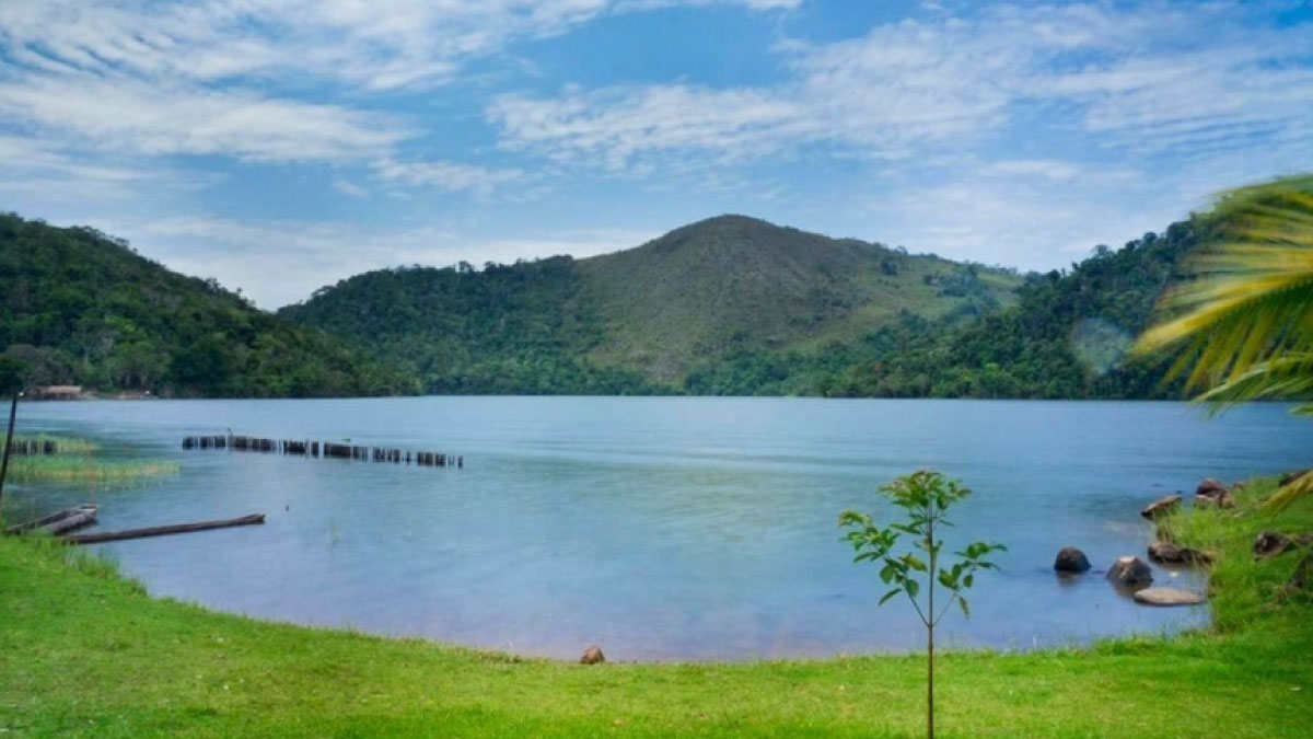 tarapoto tropical w41ohl