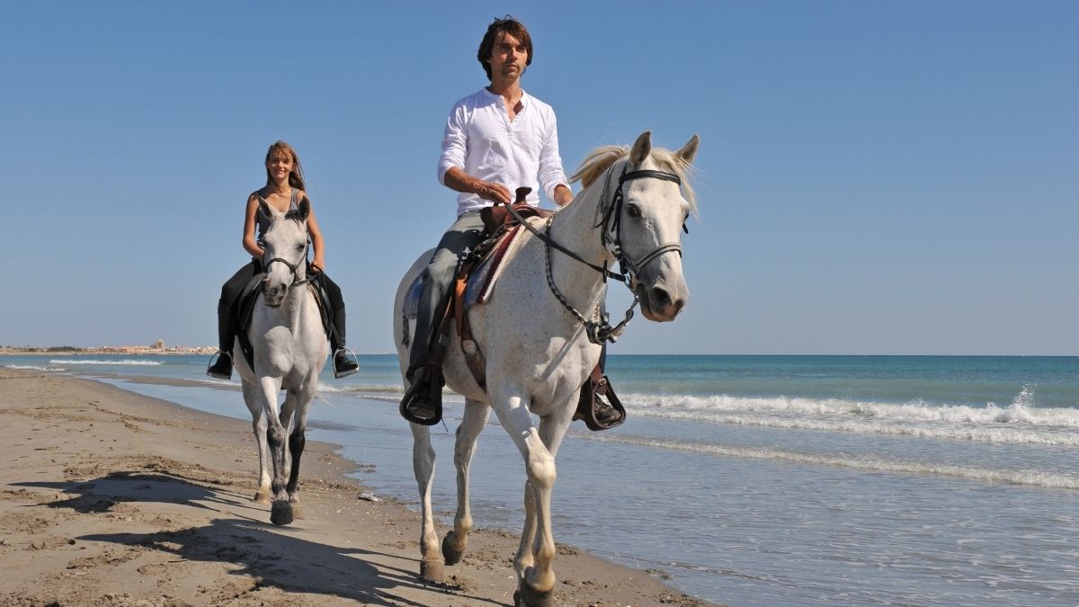 almuerzo romantico y paseo a caballo en la playa en lima xdqlla