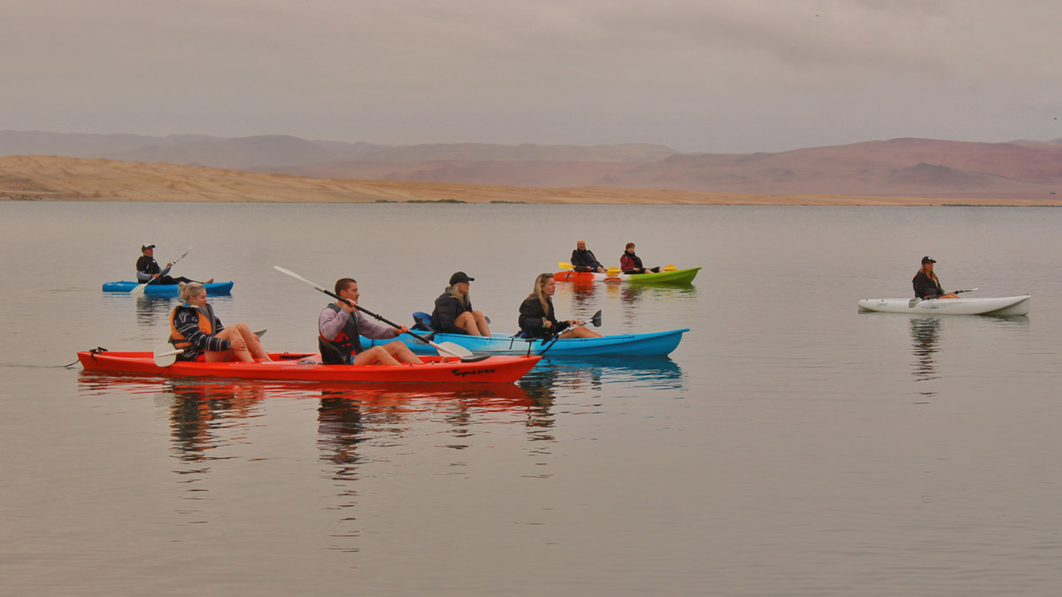 rutas eco amigables en kayaks y paddles por la reserva natural de paracas y0llkf