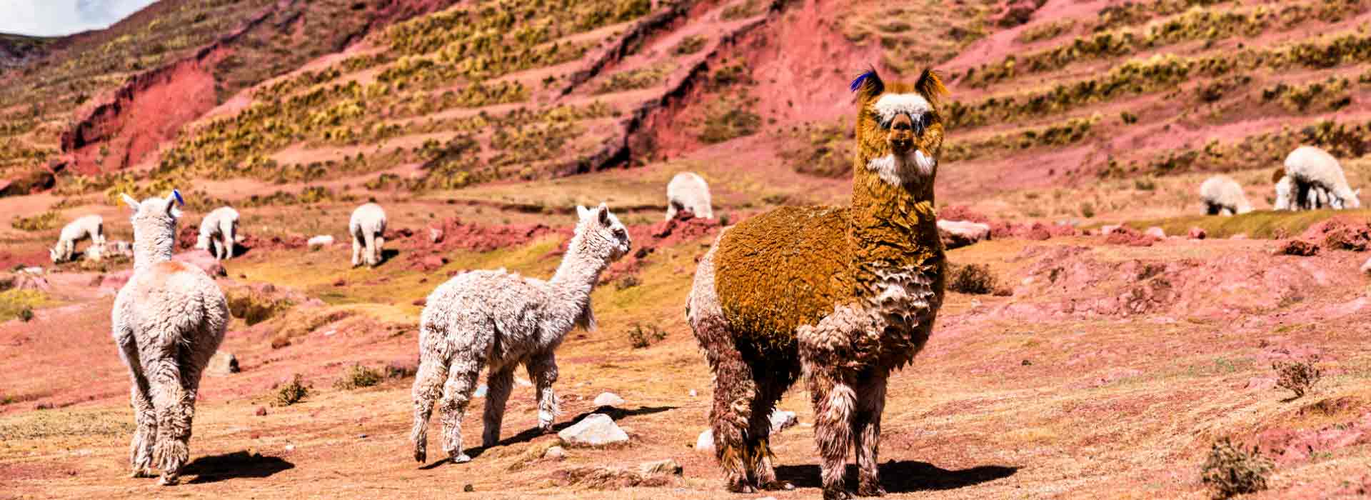 rainbow mountain - palccoyo 0