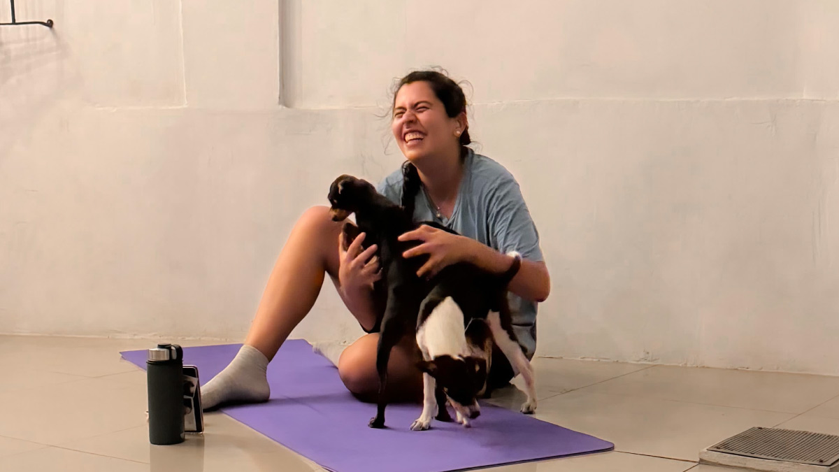 clase de yoga con perritos 2